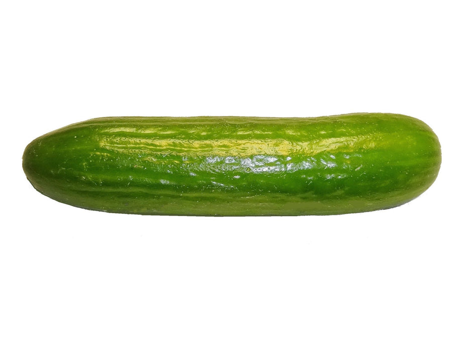 SHOP WHOLESALE PERSIAN CUCUMBER